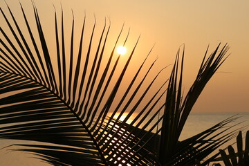 Obraz premium Sonnenuntergang auf Summer Island, Maldives