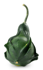 Dark green ridge gourd with tail. Rear view of decorative pear-shaped pumpkin. Isolated on...