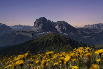 Deurstickers Vista del Sassolungo e Sassopiatto dal Seceda, gruppo delle Odle, Val Gardena, Dolomiti, Italia © Francesca