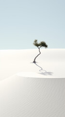 Tree in the sand dunes with shadow. Natural concept.