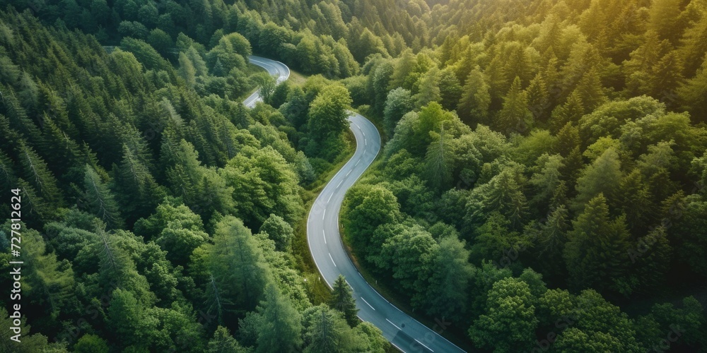 Poster a winding road in the middle of a forest. suitable for nature-themed designs and travel-related proj
