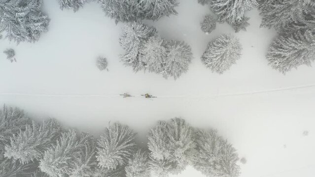 Drone photograph with ski touring skier crossing through pine tree forest during heavy snowfall 