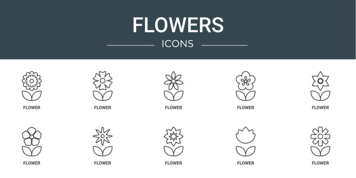 set of 10 outline web flowers icons such as flower, flower, flower, vector icons for report, presentation, diagram, web design, mobile app