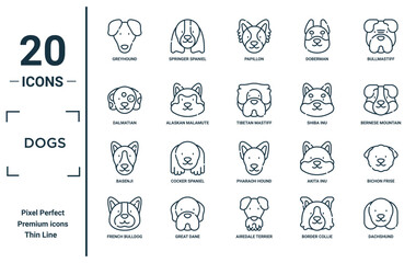 dogs linear icon set. includes thin line greyhound, dalmatian, basenji, french bulldog, dachshund, tibetan mastiff, bichon frise icons for report, presentation, diagram, web design