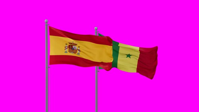 Republic of Senegal and Spain flag waving with colored chroma key for easy background remove, endless seamless loop, two country cooperation concept