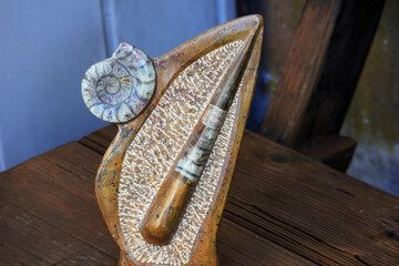 Versteinerung, Schnecke, Antik, alt, Meerestier