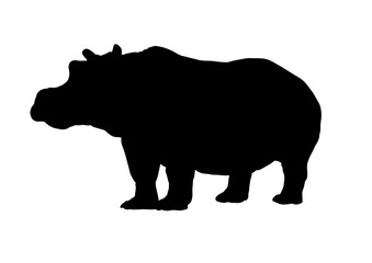 hippopotamus silhouette - vector illustration