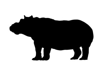 hippopotamus silhouette - vector illustration