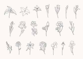 Set of botanical leaf doodle line art hand drawn floral decorative elements