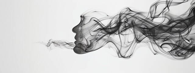 Fototapeta premium black smoke against a white background