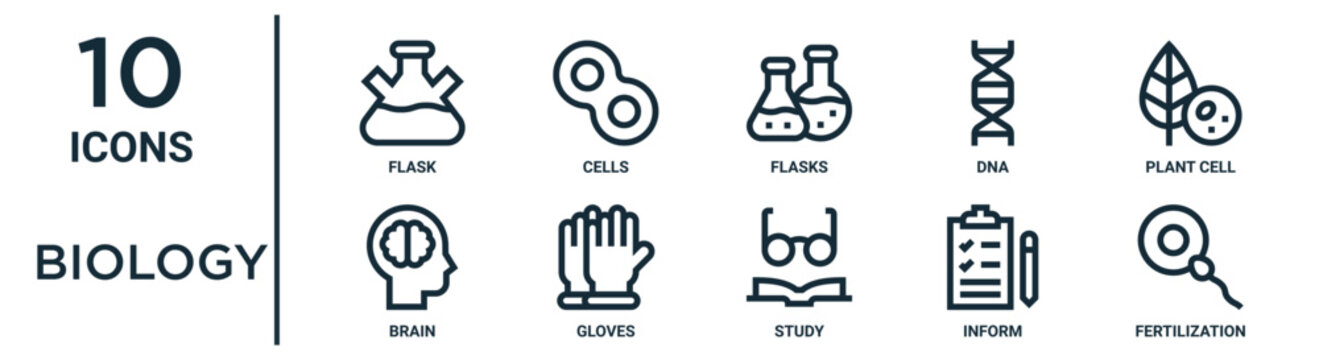 biology outline icon set such as thin line flask, flasks, plant cell, gloves, inform, fertilization, brain icons for report, presentation, diagram, web design