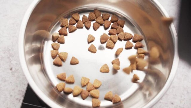 Slow Motion Feast: Filling the Pet's Bowl with Delight. The process of filling a pet's bowl with delectable food. A celebration of the bond between pets and their humans and the joy in mealtime