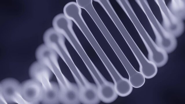 3d animation of DNA simulation HD 4k