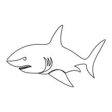 recommend clip art: Continuous line art Hand drawn shark outline vector illustration