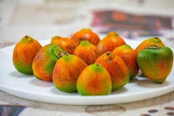 Rare and exotic fruit of the peach palm (Bactris gasipaes), typical fruit of the Brazilian tropical forests, Amazonas, Pará, Rondônia and Acre