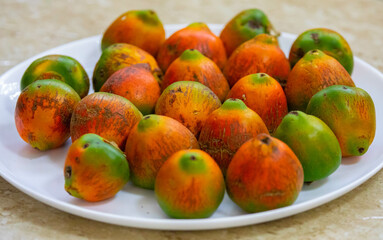 Rare and exotic fruit of the peach palm (Bactris gasipaes), typical fruit of the Brazilian tropical forests, Amazonas, Pará, Rondônia and Acre