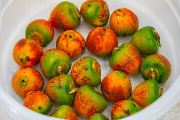 Rare and exotic fruit of the peach palm (Bactris gasipaes), typical fruit of the Brazilian tropical forests, Amazonas, Pará, Rondônia and Acre