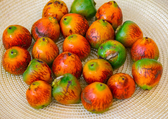 Rare and exotic fruit of the peach palm (Bactris gasipaes), typical fruit of the Brazilian tropical forests, Amazonas, Pará, Rondônia and Acre