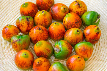 Rare and exotic fruit of the peach palm (Bactris gasipaes), typical fruit of the Brazilian tropical forests, Amazonas, Pará, Rondônia and Acre