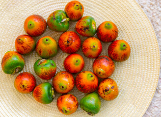 Rare and exotic fruit of the peach palm (Bactris gasipaes), typical fruit of the Brazilian tropical forests, Amazonas, Pará, Rondônia and Acre