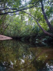 A water droplet on a vibrant leaf, highlighting the beauty of nature and the importance of water conservation.