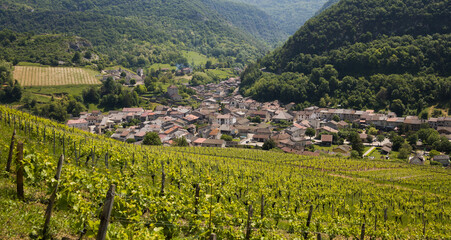 Obraz premium village de vignoble à Cerdon dans l'Ain au printemps célèbre pour son vin pétillant