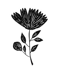 Illustrations black white images artline leaves photo tree flower 