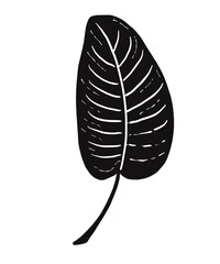 Illustrations black white images artline leaves photo tree flower 