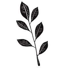 Illustrations black white images artline leaves photo tree flower 