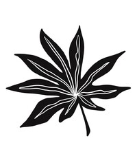 Illustrations black white images artline leaves photo tree flower 