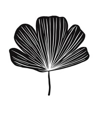Illustrations black white images artline leaves photo tree flower 
