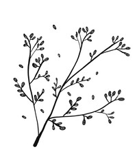 Illustrations black white images artline leaves photo tree flower 