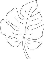 몬스테라 플랜테리어 보태니컬 잎사귀 일러스트