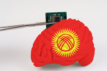 On a white background, a model of the brain with a picture of a flag - Kyrgyzstan, a microcircuit,...