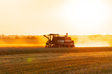 Combine harvester working on wheat field. Combine harvester working on golden crop field at sunset. Harvesting concept
