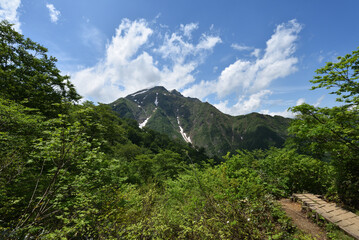Naklejka na ściany i meble Mount. Tanigawa, Minakami, Gunma, Japan
