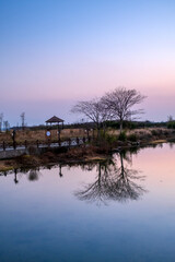 Obraz premium sunset over the river