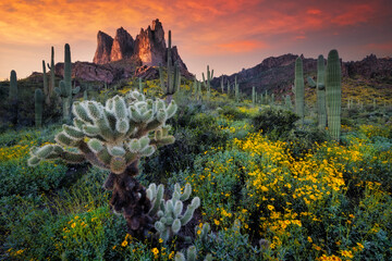 Superstition Mountains in Arizona