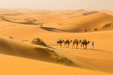 Fototapeta na wymiar Karawane in der Sahara, Marokko