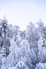 Winter time in snowy Rovaniemi Lapland, winterwonderland shortly before christmas season
