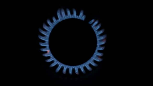 methane gas flame of a home cooker, top view, black background