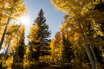 Herbst, USA, Colorado