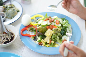 salad vegetable meal in dish for breakfast for good health of life