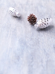Christmas ornaments on bright wooden background. Soft focus. Close up. Copy space.
