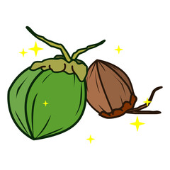coconut fruit vector design with two colors