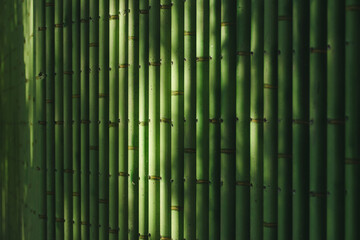 Close up shot of green bamboo fence background.