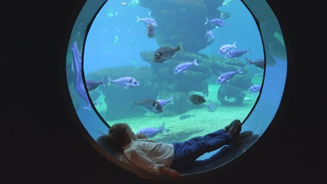 Little kid lying down on aquarium round window and enjoying the underwater view