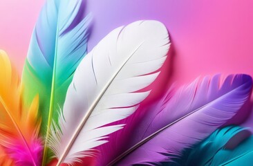 pink and white feathers