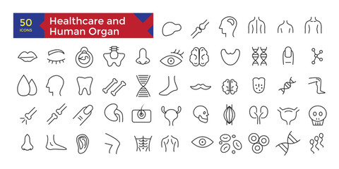 Healthcare hospital concept human organ anatomy icons set