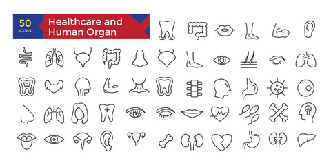 Healthcare hospital concept human organ anatomy icons set